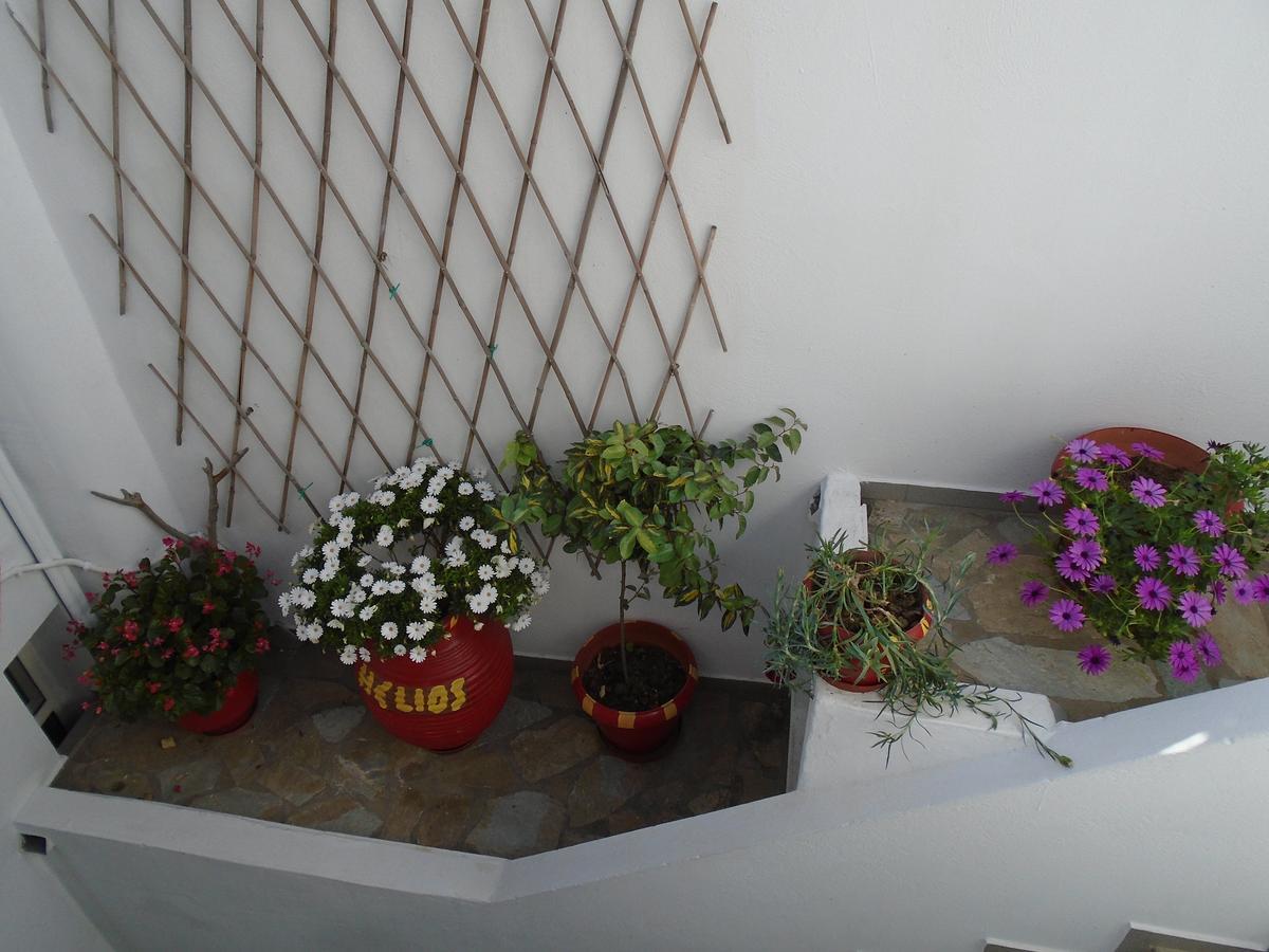 Helios Serifos Livadi  외부 사진